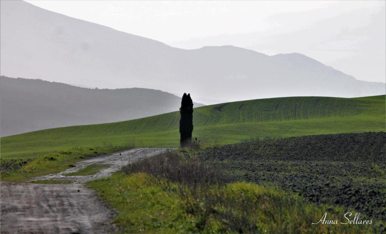 Soleluna San Quirico d'Orcia Ngoại thất bức ảnh